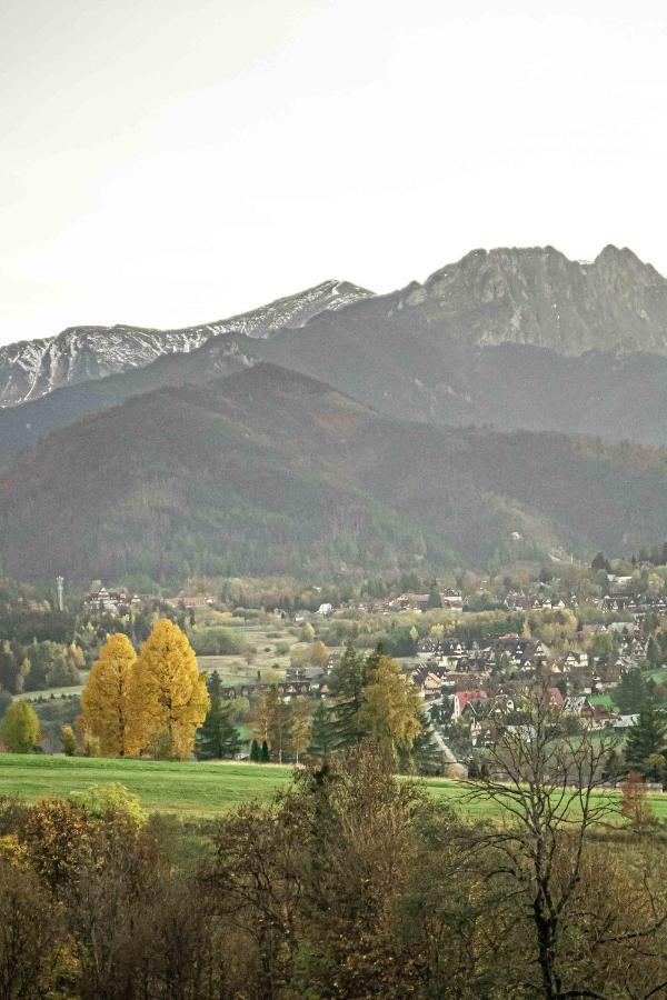 Willa Grg Zakopane Exterior photo